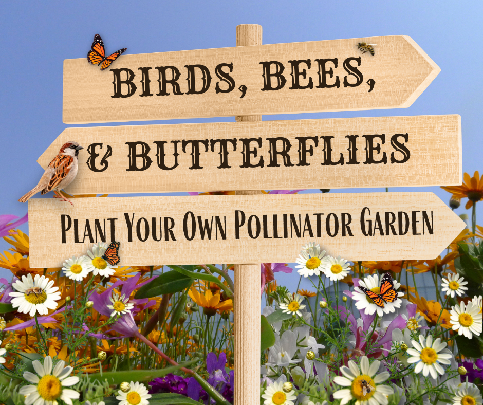 Plant Your Own Pollinator Garden graphic