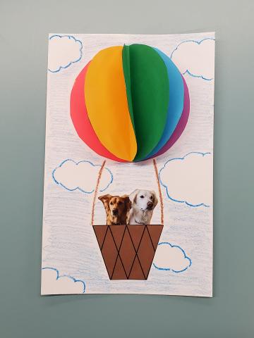 Hot Air Balloon