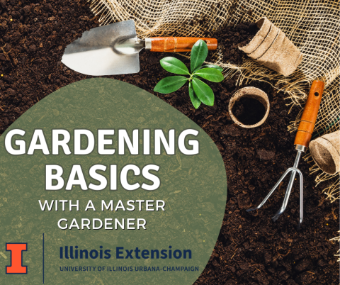 Gardening Basics