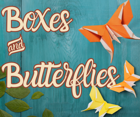 Boxes and Butterflies