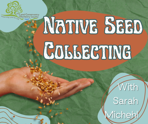 Native Seed Collection Graphic
