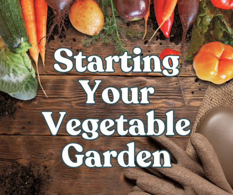 Starting Your Vegetable Garden, vegetables, dirt and gardening gloves on a wooden surface