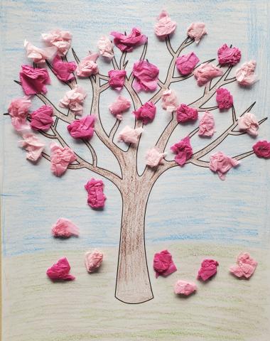 Cherry Blossoms