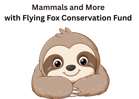 Mammals and More