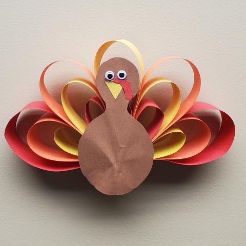 Paper Turkey