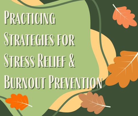 Practicing Strategies for Stress Relief & Burnout Prevention