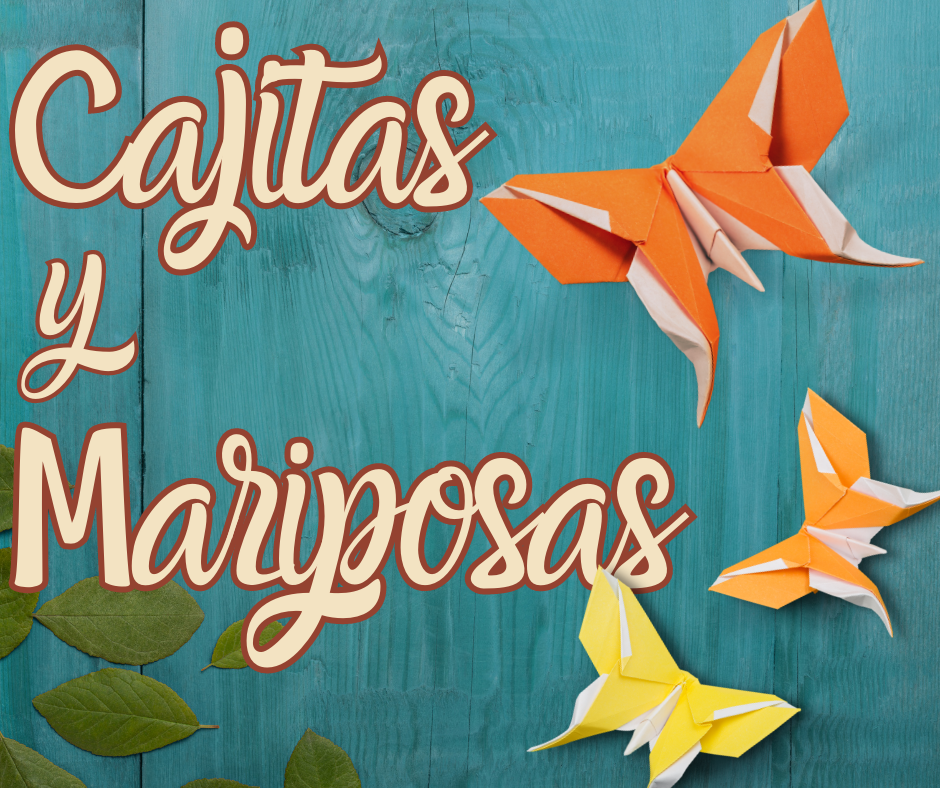 Cajitas y Mariposas