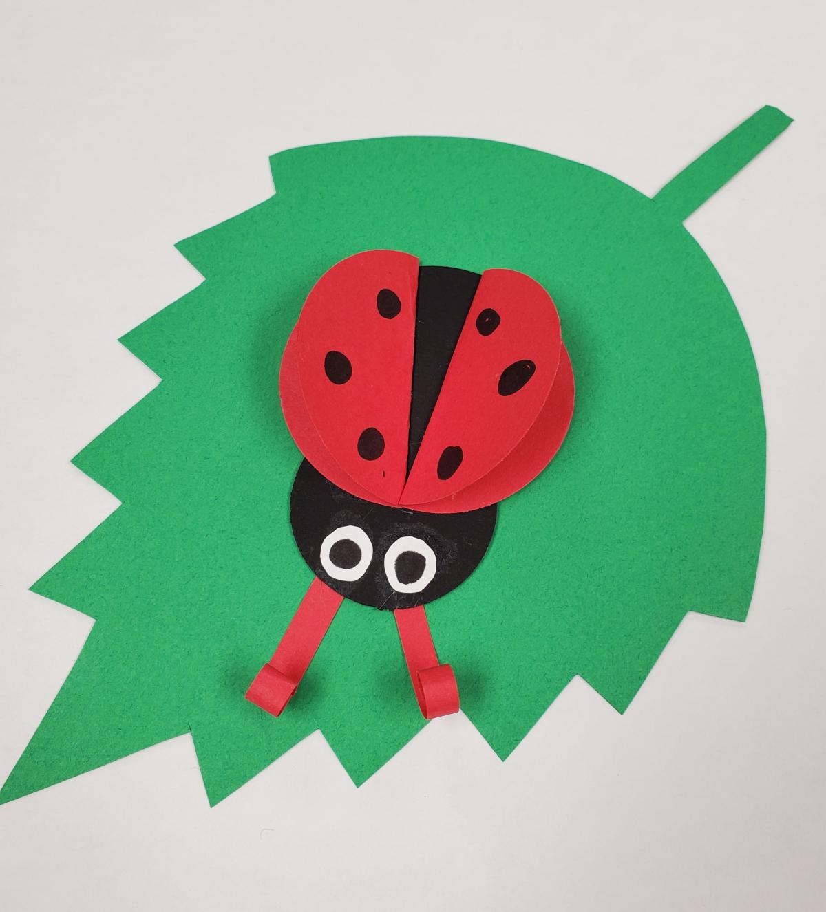 Lady Bug