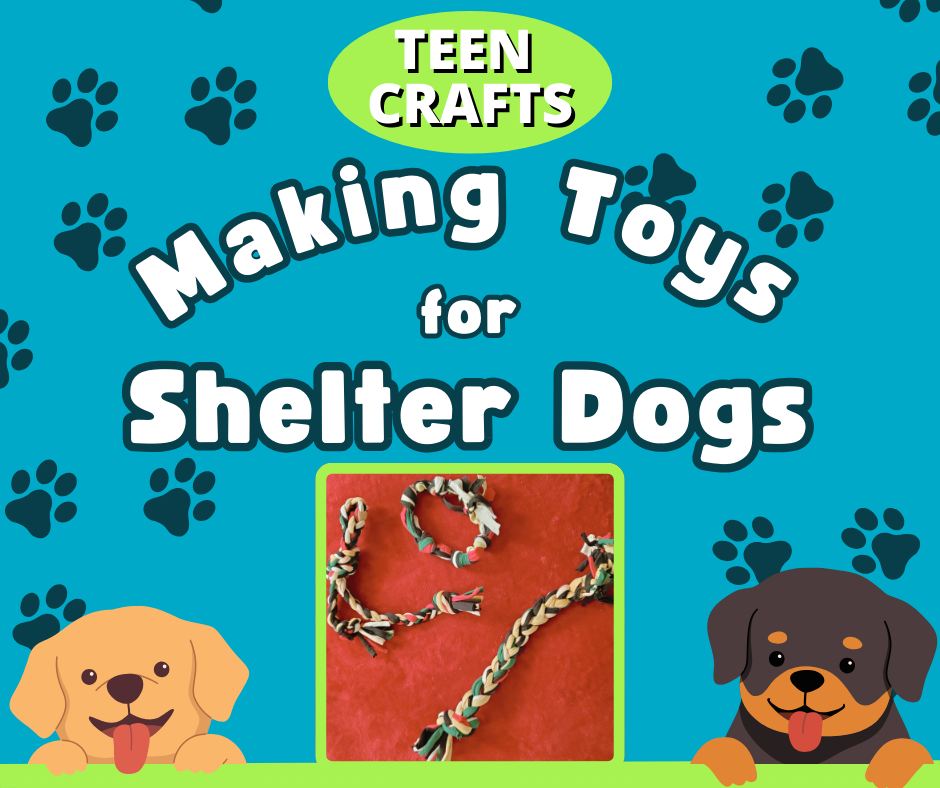 Teen Crafts: Making Toys for Shelter Dogs